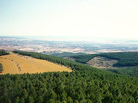 13_-_vista_desde_la_cantera.jpg